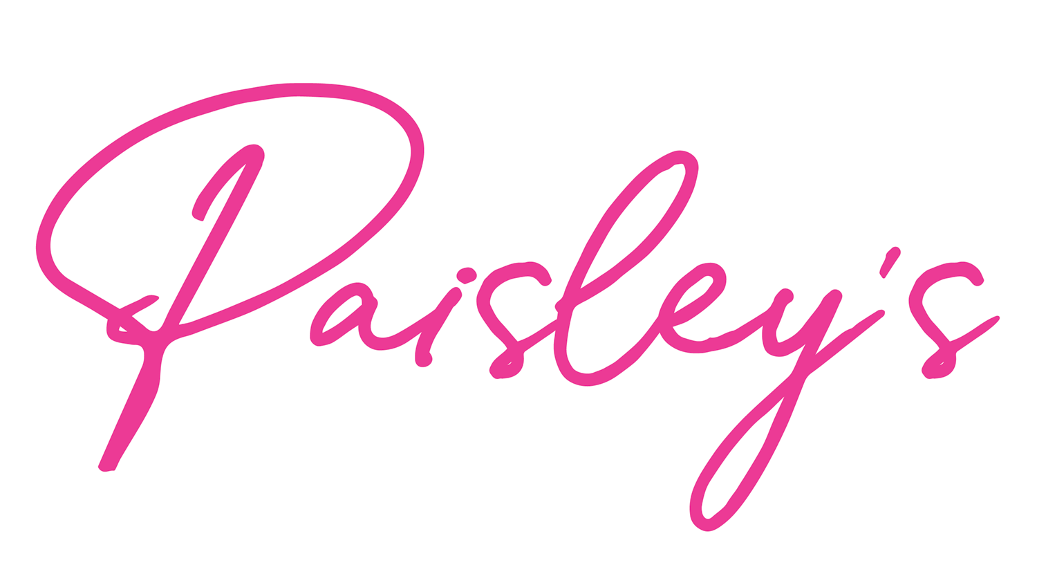 Home Paisley s Boutique LLC